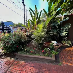 Negocio Tucán Hostel