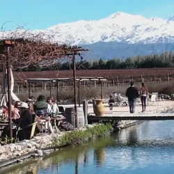 Negocio Tupungato Divino