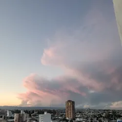 Negocio Viaggiato Colon