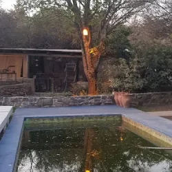 Negocio Vientos Del Alma