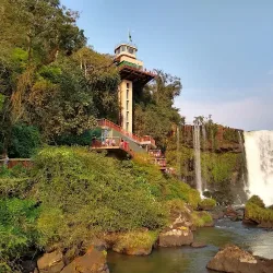 Negocio Voces De La Selva Misionera