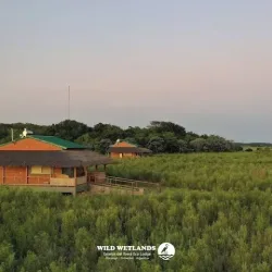 Negocio Wild Wetlands Lodge