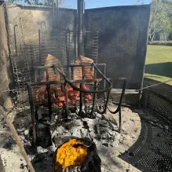 Negocio Wild Wetlands Lodge