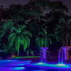 Negocio Yvy Hotel De Selva